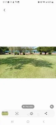 Blade an Bloom Commercial Landscaping Logo