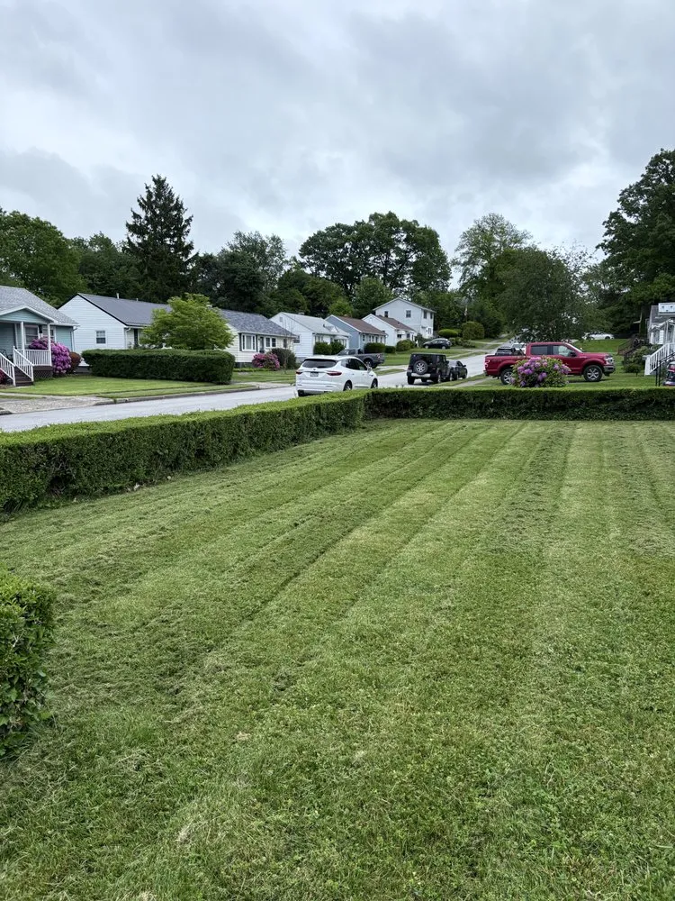 Reliable yard cleanup service for residential properties in Erie, PA by Blade Brothers