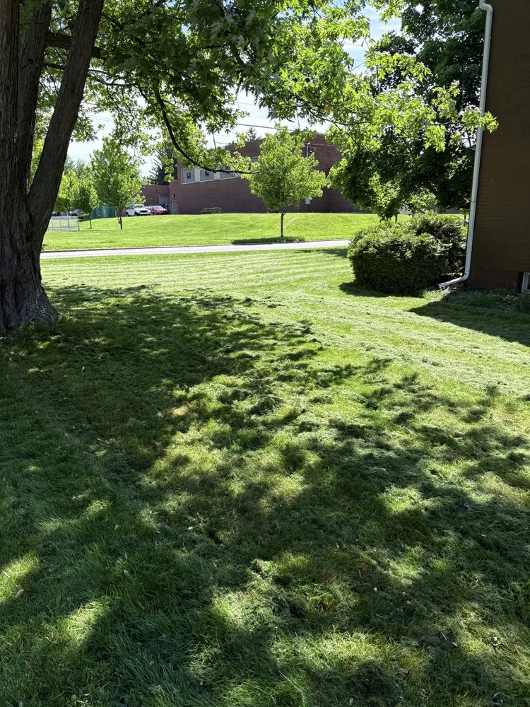 Custom lawn care service for residential properties across Erie, PA - Blade Brothers