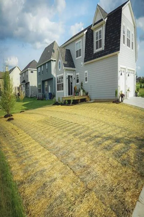 Expert outdoor landscaping for beautiful yards across Crown Point, IN - Blade Cutters