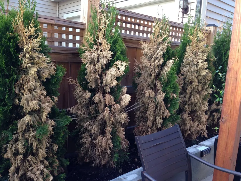 Professional landscape installation experts serving Leesburg, VA - Blade Cutters, Inc