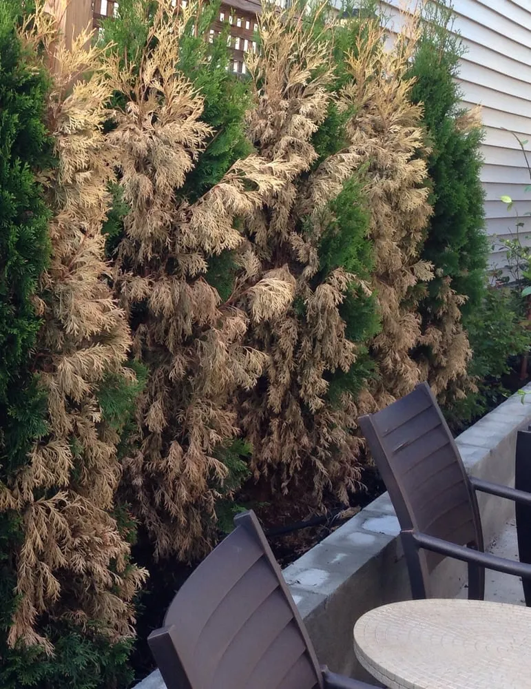 Professional residential landscaping experts serving Leesburg, VA - Blade Cutters, Inc