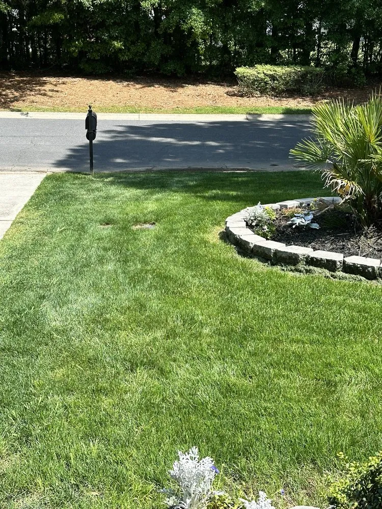Top-rated lawn care service for outdoor upgrades across Fort Mill, SC - Blade Force