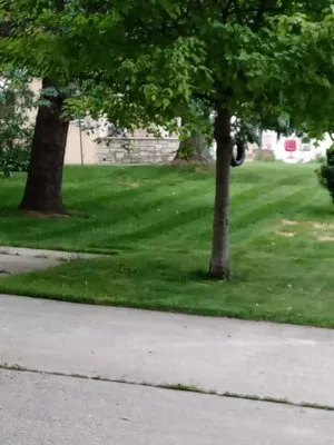 Blade Lawn Care & Snow Removel