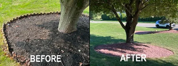 Blade Lawn Care Logo