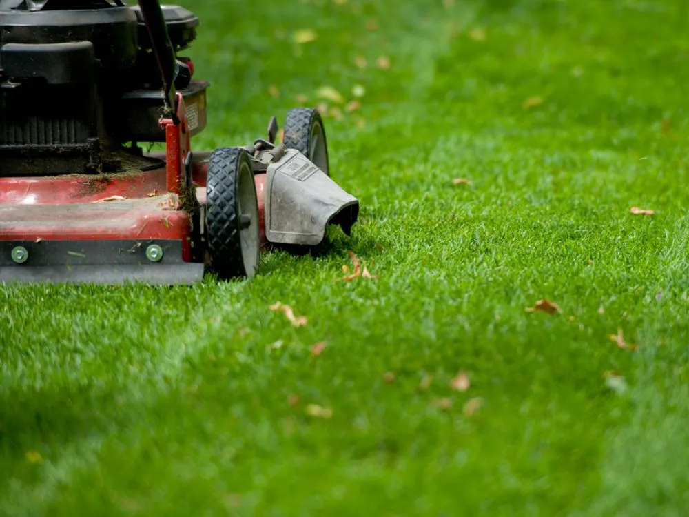 Professional landscape installation experts serving Westminster, CO - Blade Lawn Care
