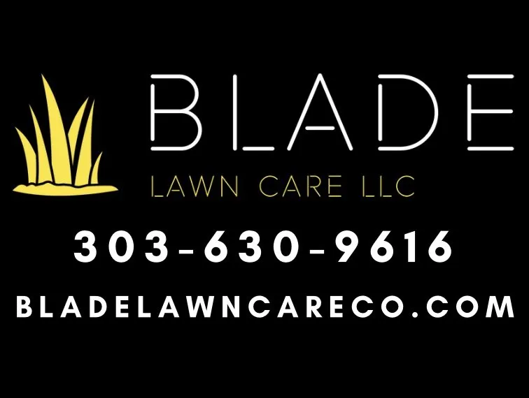 Trusted lawn care service experts serving Westminster, CO - Blade Lawn Care