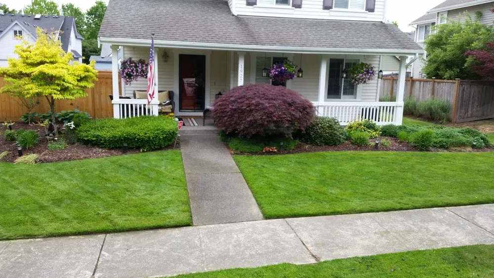 Local yard maintenance in DuPont, WA - Blade Masters Lawn Care