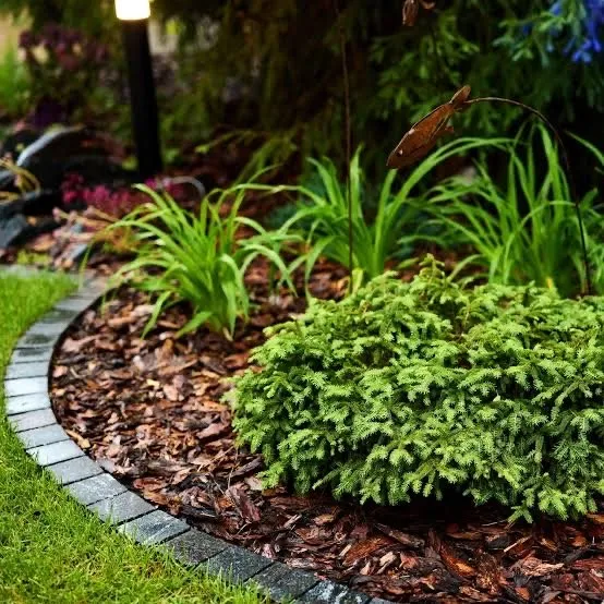 Local yard cleanup service for beautiful yards in Middleburg, FL by Blade Masters Lawn Service