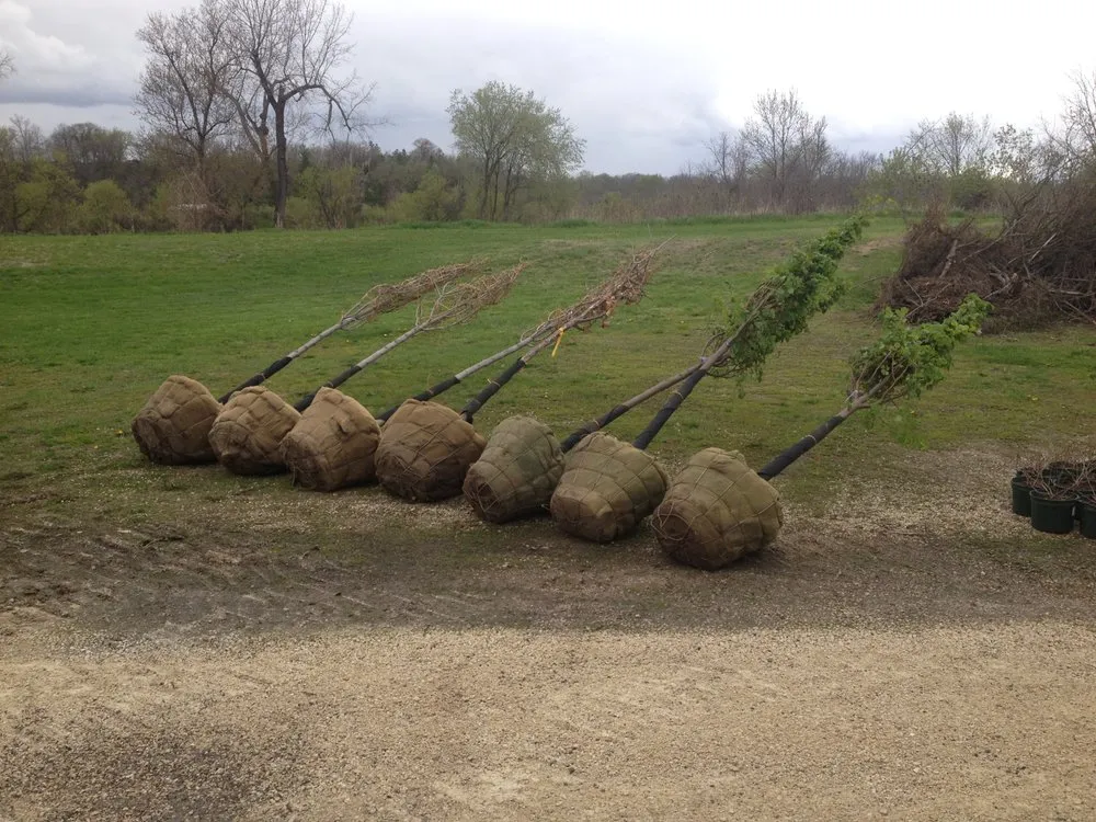 Affordable lawn care service for outdoor upgrades across Rochester, MN - Blade of Grass Lawn & Landscaping