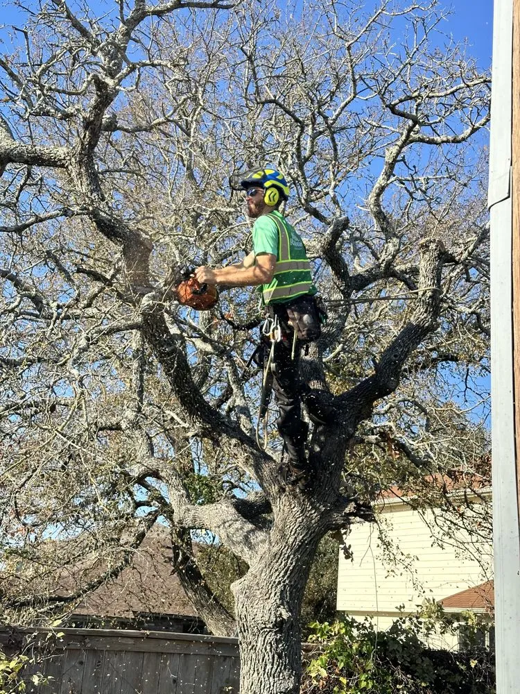 Expert residential landscaping for homes across Austin, TX - Blade Runner Landscapes