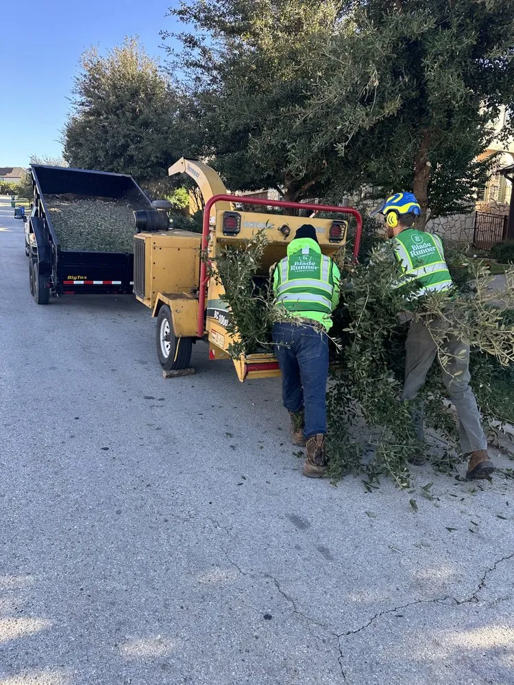 Reliable outdoor landscaping in Austin, TX by Blade Runner Landscapes