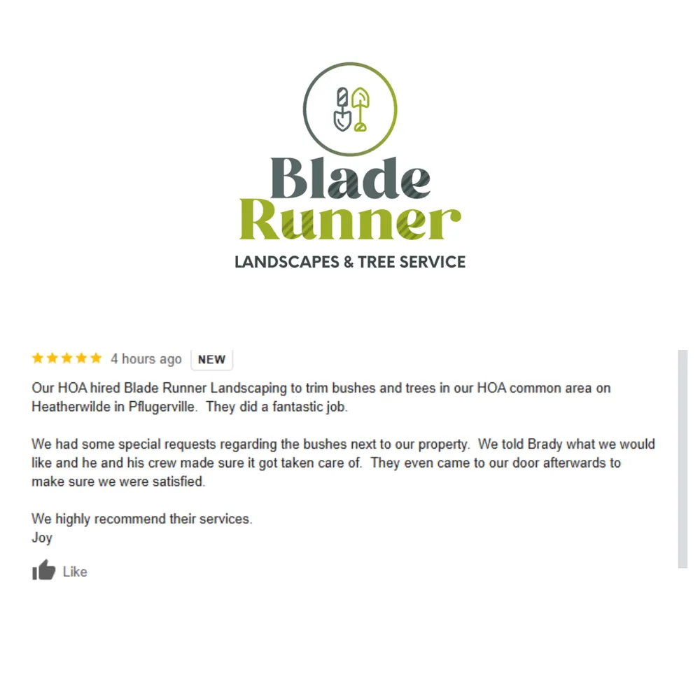 Reliable landscaping services in Austin, TX - Blade Runner Landscapes