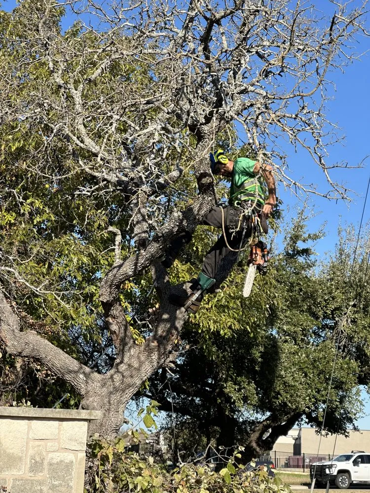 Local lawn care service experts serving Austin, TX - Blade Runner Landscapes