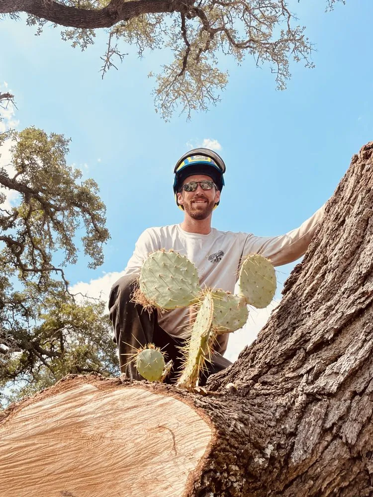 Expert lawn care service for residential properties across Austin, TX - Blade Runner Landscapes