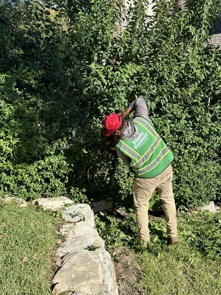 Local landscape installation in Austin, TX - Blade Runner Landscapes