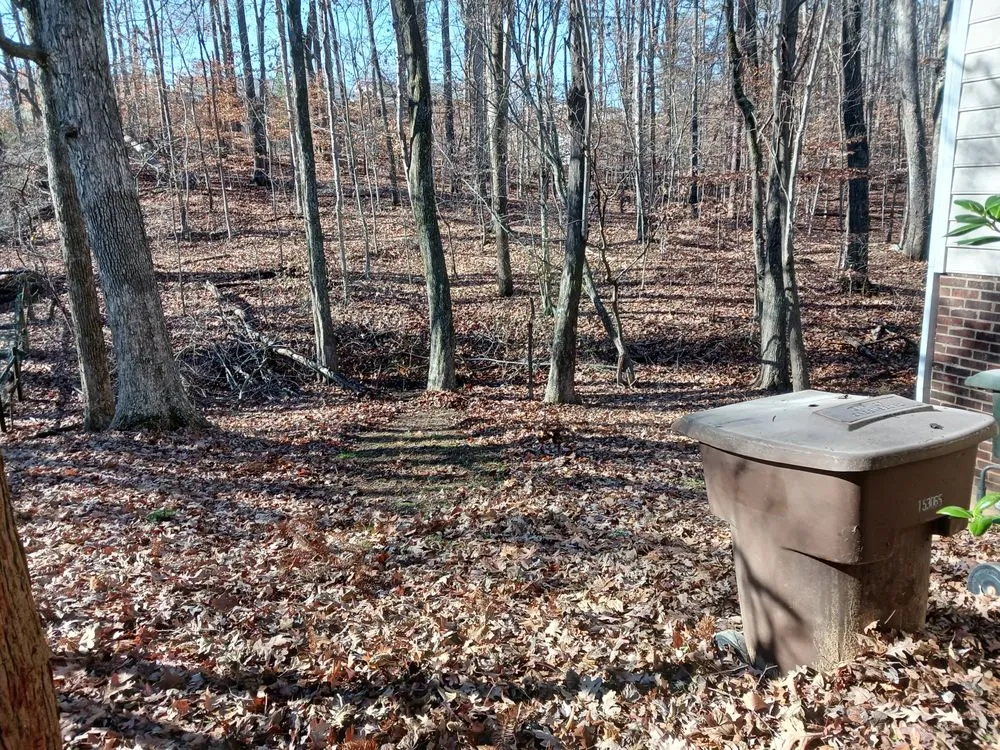 Trusted yard maintenance for year-round maintenance across Asheboro, NC - Blade Runner Lawn Care