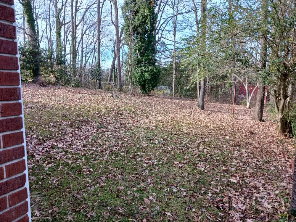 Affordable landscape design for outdoor upgrades in Asheboro, NC by Blade Runner Lawn Care