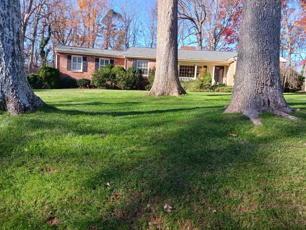 Reliable yard cleanup service experts serving Asheboro, NC - Blade Runner Lawn Care