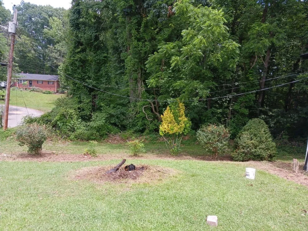 Expert yard maintenance with custom design in Asheboro, NC by Blade Runner Lawn Care