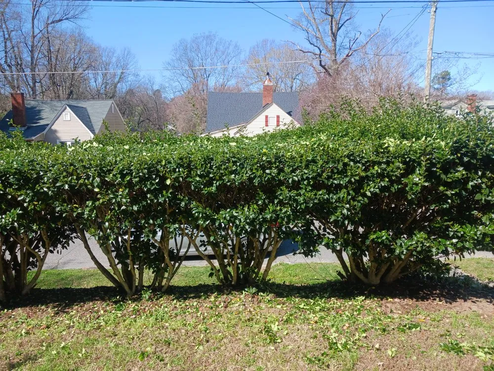 Professional residential landscaping in Asheboro, NC by Blade Runner Lawn Care