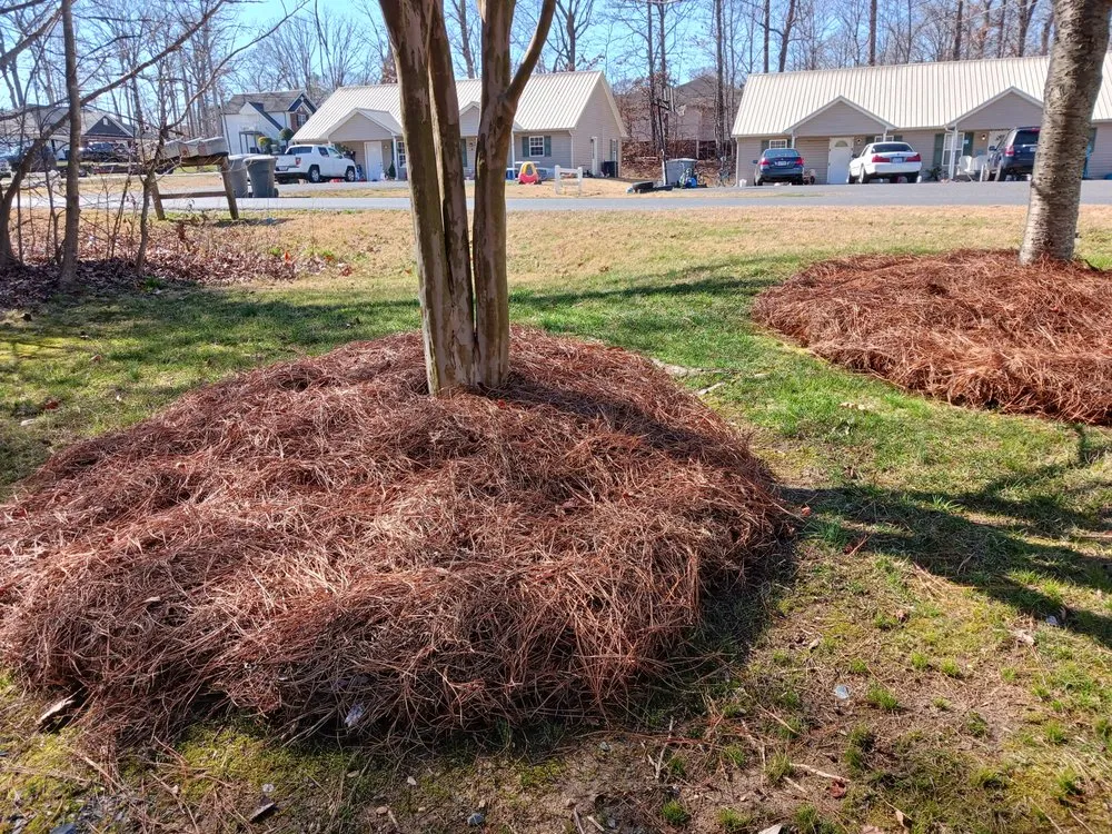 Professional landscape design in Asheboro, NC by Blade Runner Lawn Care