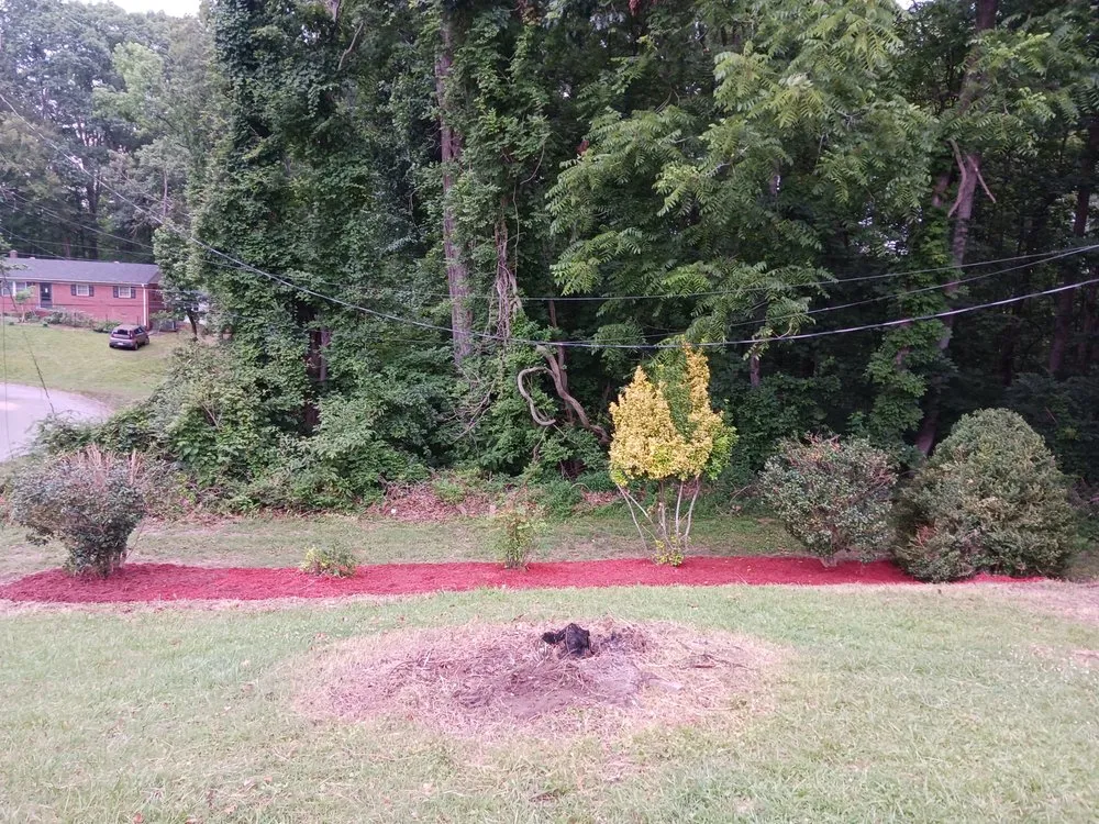 Expert landscaping services in Asheboro, NC by Blade Runner Lawn Care