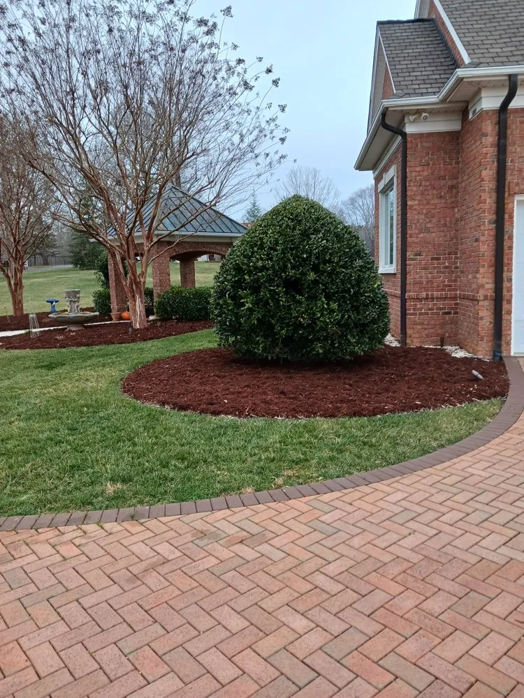 Reliable yard cleanup service in Asheboro, NC - Blade Runner Lawn Care