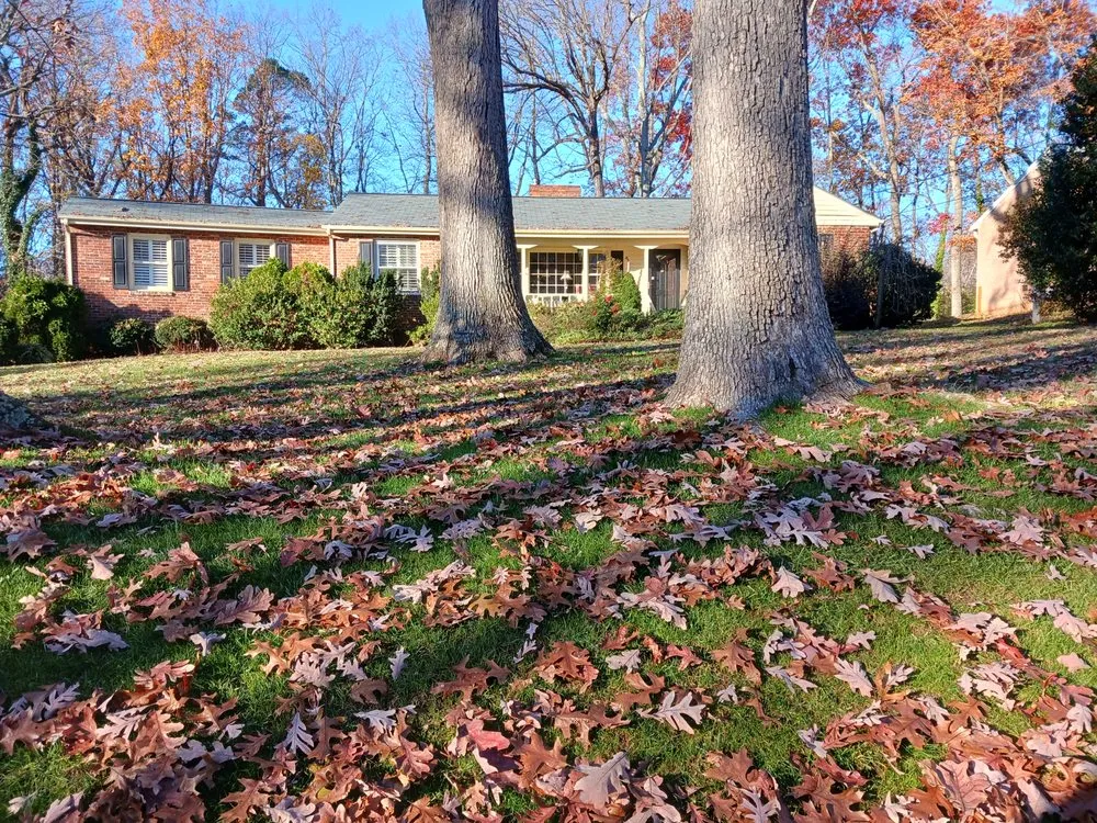 Expert yard maintenance experts serving Asheboro, NC - Blade Runner Lawn Care