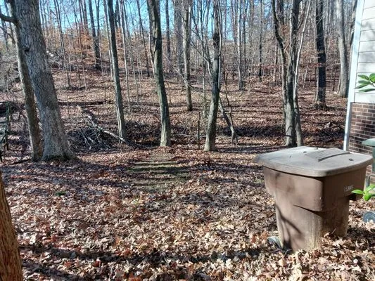 Blade Runner Lawn Care Logo