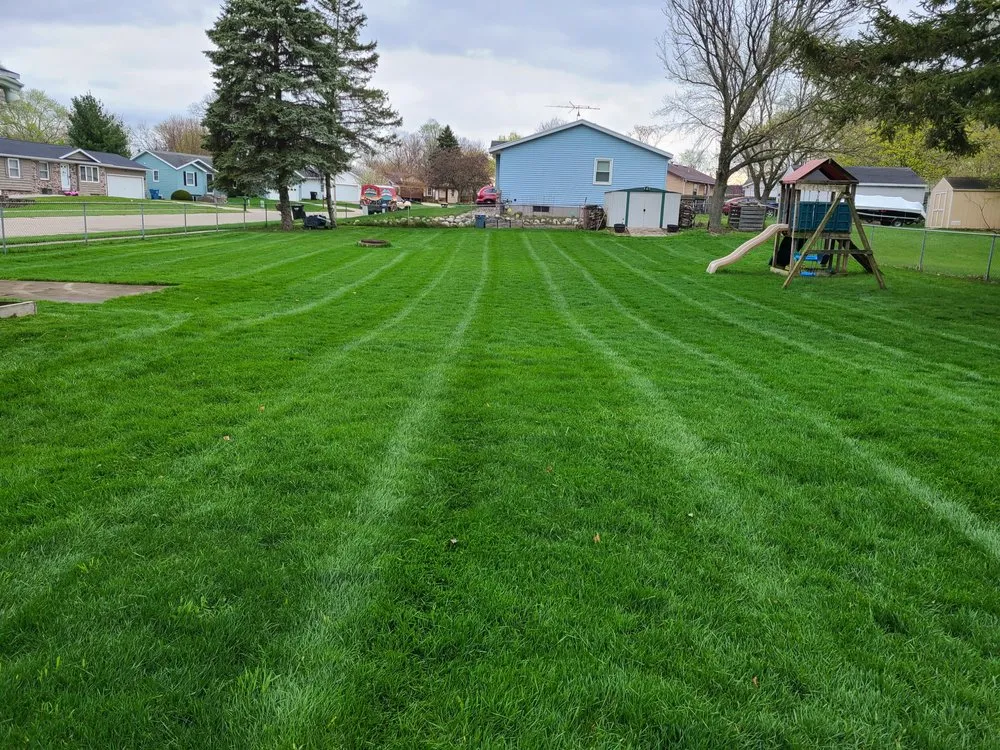 Trusted yard cleanup service for year-round maintenance in Jenison, MI by Blade Runner Lawn Care