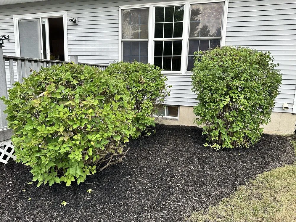 Custom landscape installation experts serving Schenectady, NY - Blade Runner Lawn Care