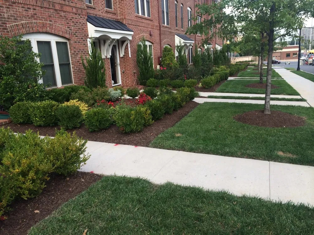 Professional garden landscaping in Fairfax, VA - Blade Runners