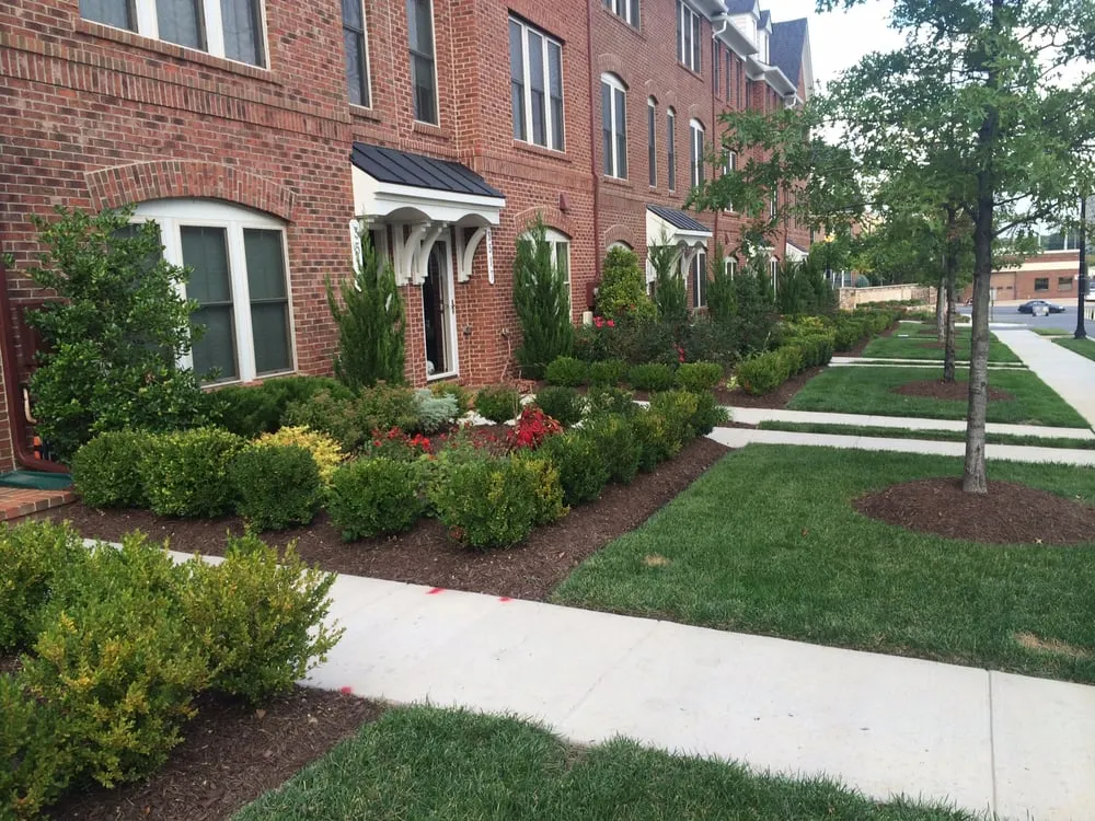 Top-rated landscape installation in Fairfax, VA by Blade Runners