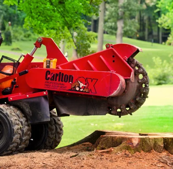 Local landscaping services in Fairfax, VA by Blade Runners