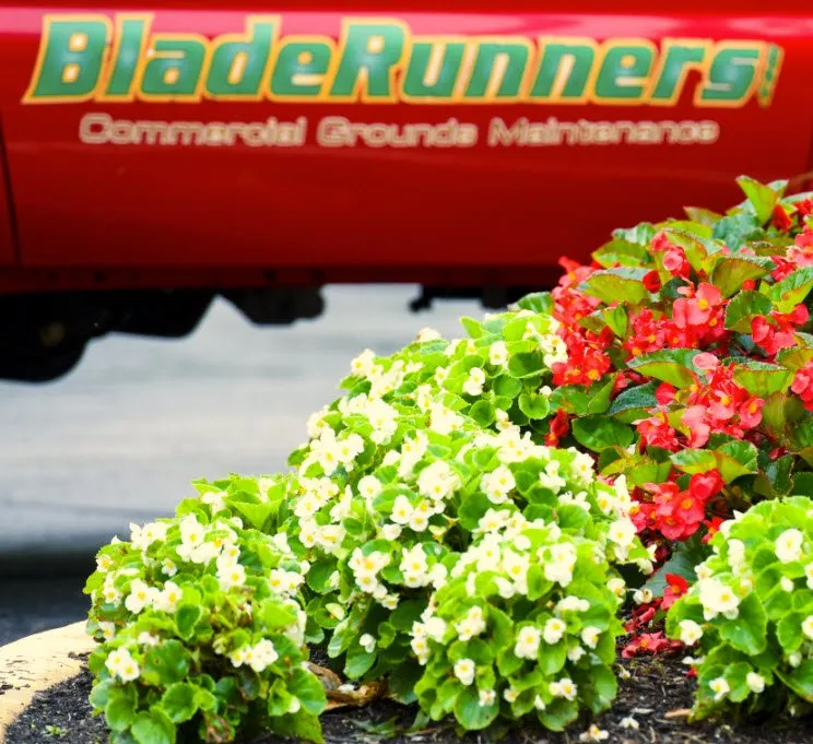 Expert yard cleanup service in Fairfax, VA - Blade Runners