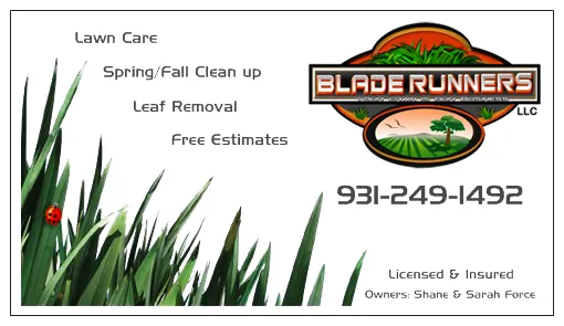 Professional lawn care service for homes in Woodlawn, TN by Blade Runners
