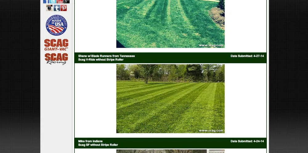 Professional landscaping services experts serving Woodlawn, TN - Blade Runners