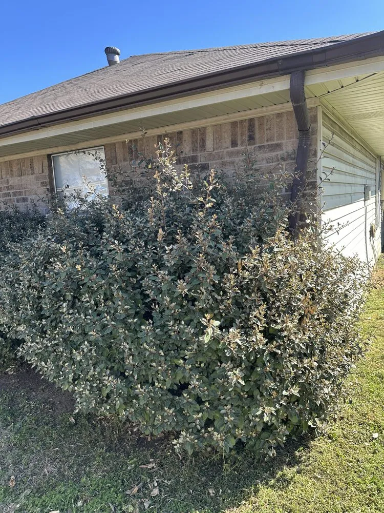 Trusted outdoor landscaping in North Richland Hills, TX by Blade Runnerz Lawn And Landscaping