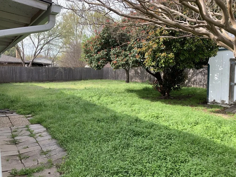 Trusted landscaping services in North Richland Hills, TX by Blade Runnerz Lawn And Landscaping