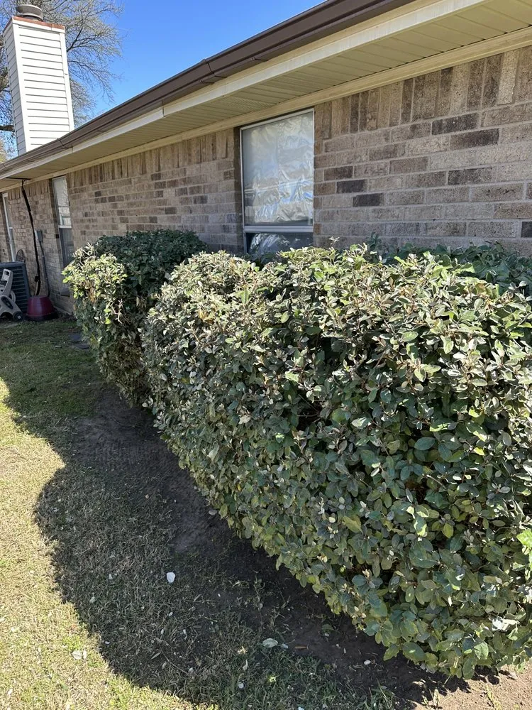 Trusted garden landscaping in North Richland Hills, TX by Blade Runnerz Lawn And Landscaping