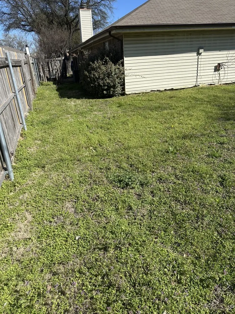 Affordable landscape installation with custom design in North Richland Hills, TX by Blade Runnerz Lawn And Landscaping