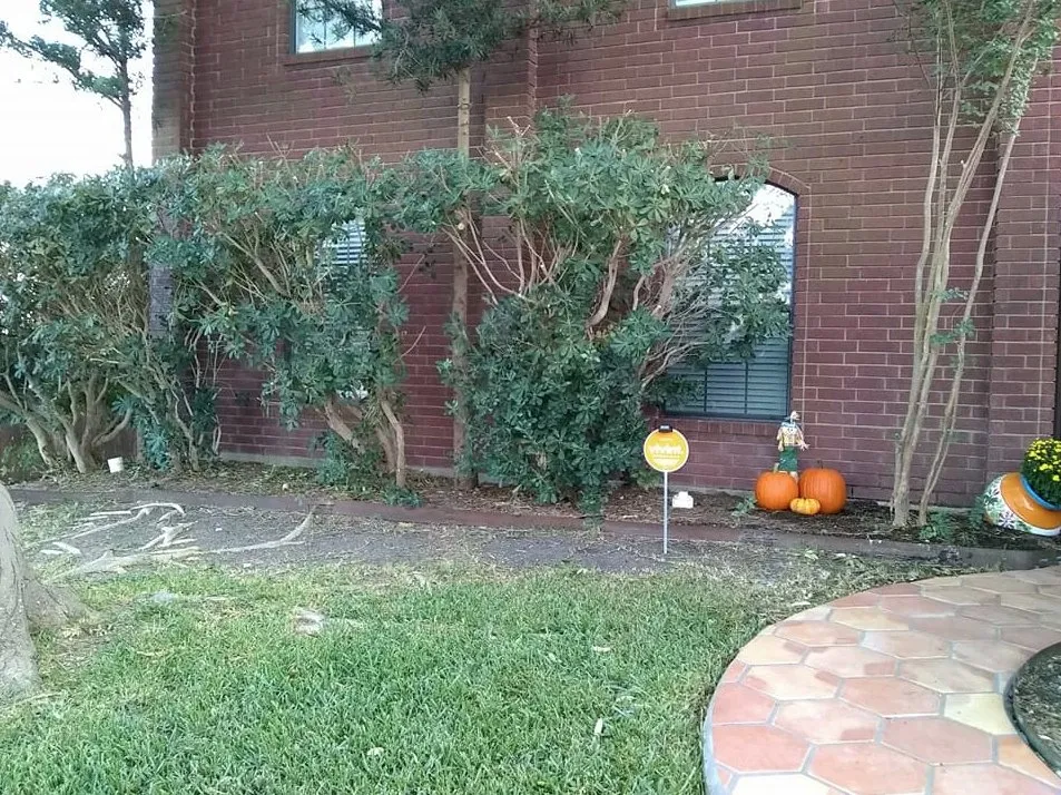 Local yard cleanup service for beautiful yards in Harker Heights, TX by Blade to Blade Lawn & Home