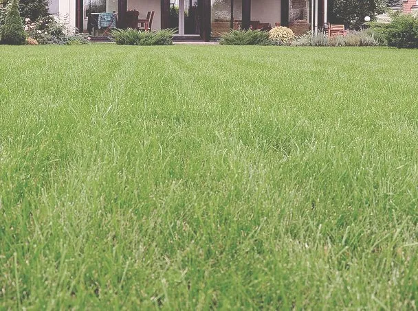 Top-rated lawn mowing service for residential properties in Harker Heights, TX by Blade to Blade Lawn & Home