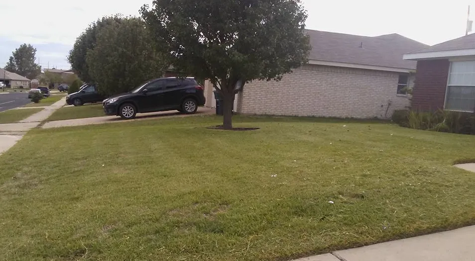 Reliable lawn mowing service in Harker Heights, TX - Blade to Blade Lawn & Home