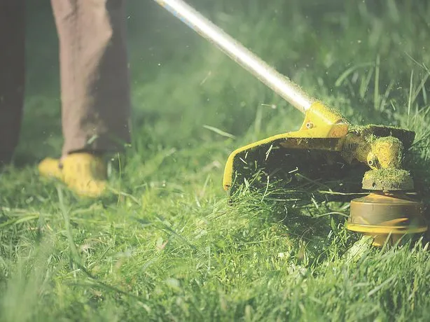 Affordable residential landscaping near you across Harker Heights, TX - Blade to Blade Lawn & Home