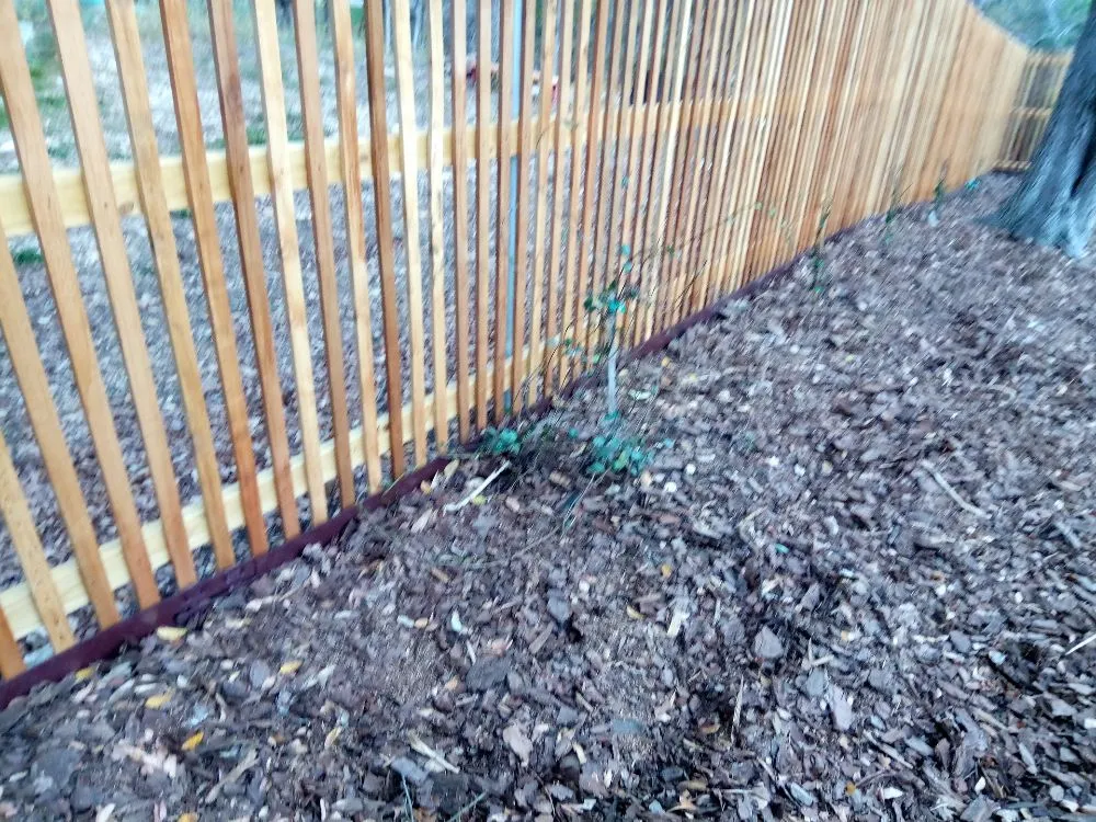 Top-rated landscape design experts serving Harker Heights, TX - Blade to Blade Lawn & Home