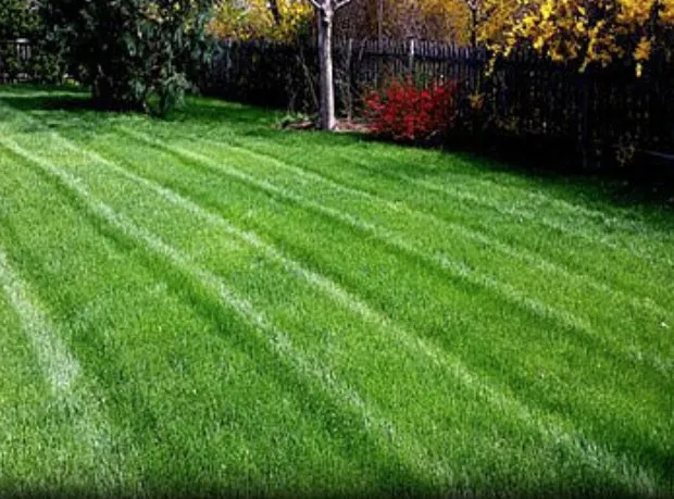 Expert lawn mowing service in Harker Heights, TX - Blade to Blade Lawn & Home