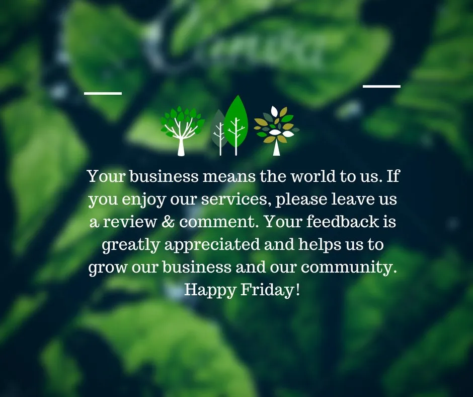 Professional garden landscaping in Dayton, OH by Bladecutters