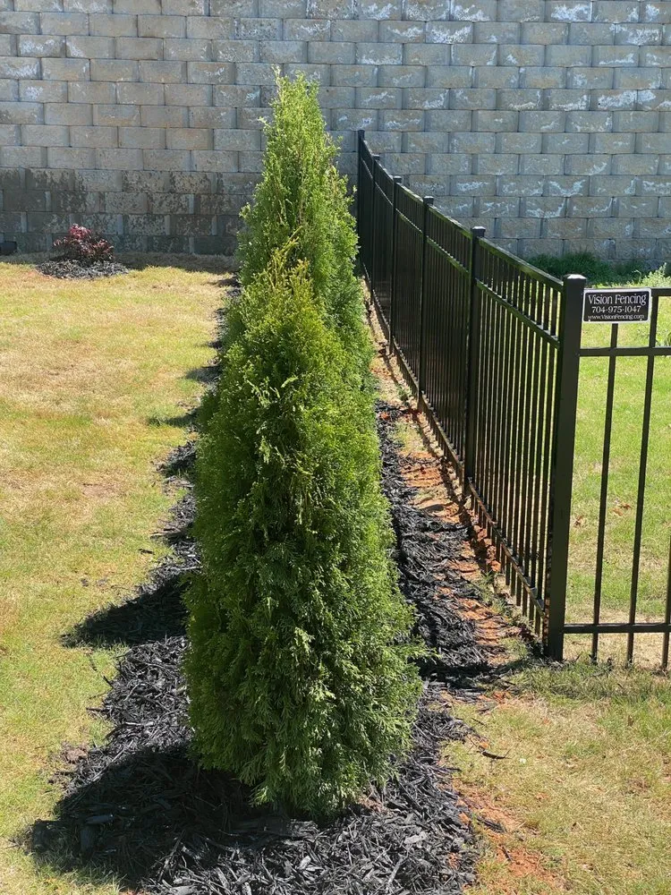 Local lawn mowing service near you in Charlotte, NC by Bladerunner Landscaping